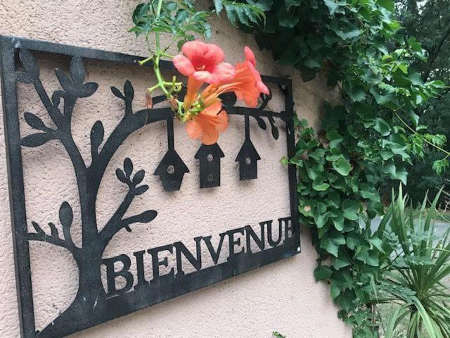 B&B Les Muscades Saint-Étienne-du-Grès Zewnętrze zdjęcie