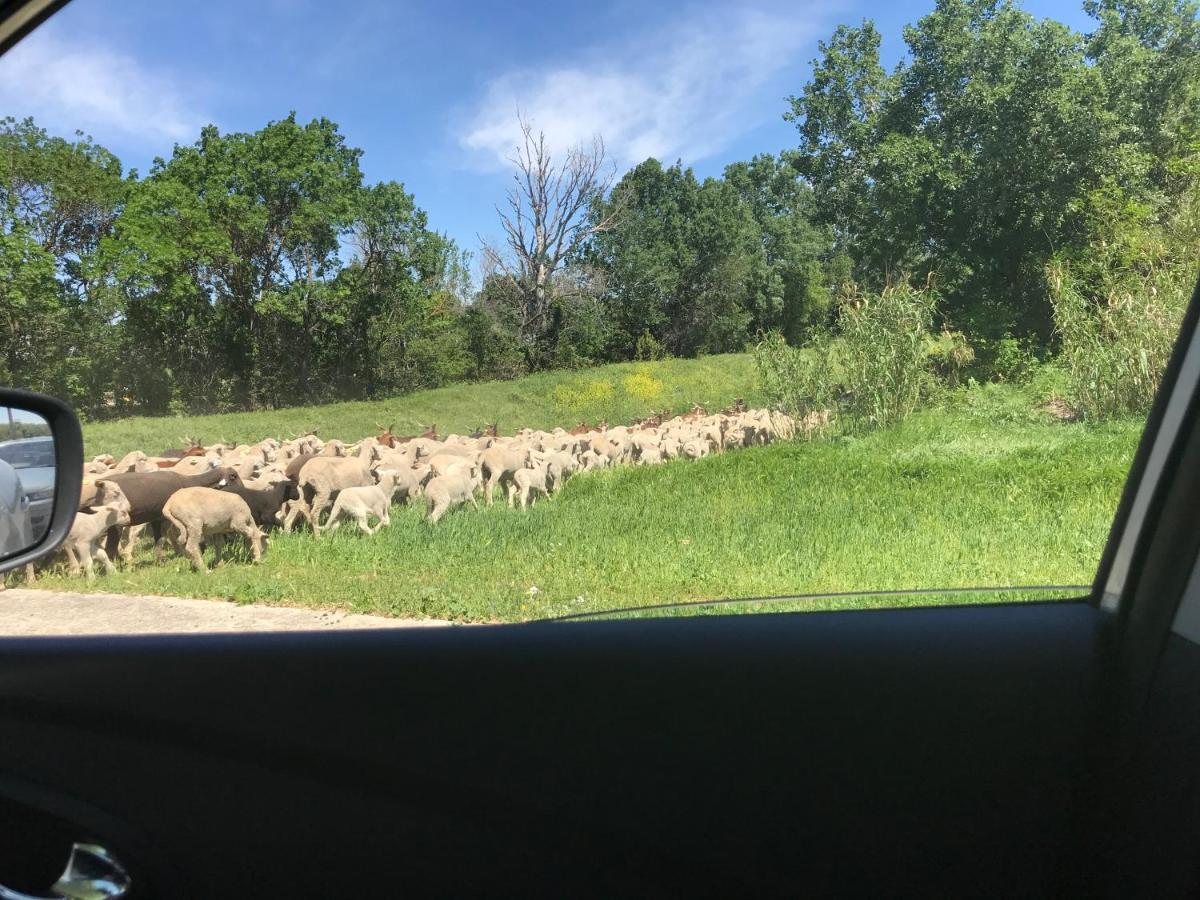 B&B Les Muscades Saint-Étienne-du-Grès Zewnętrze zdjęcie